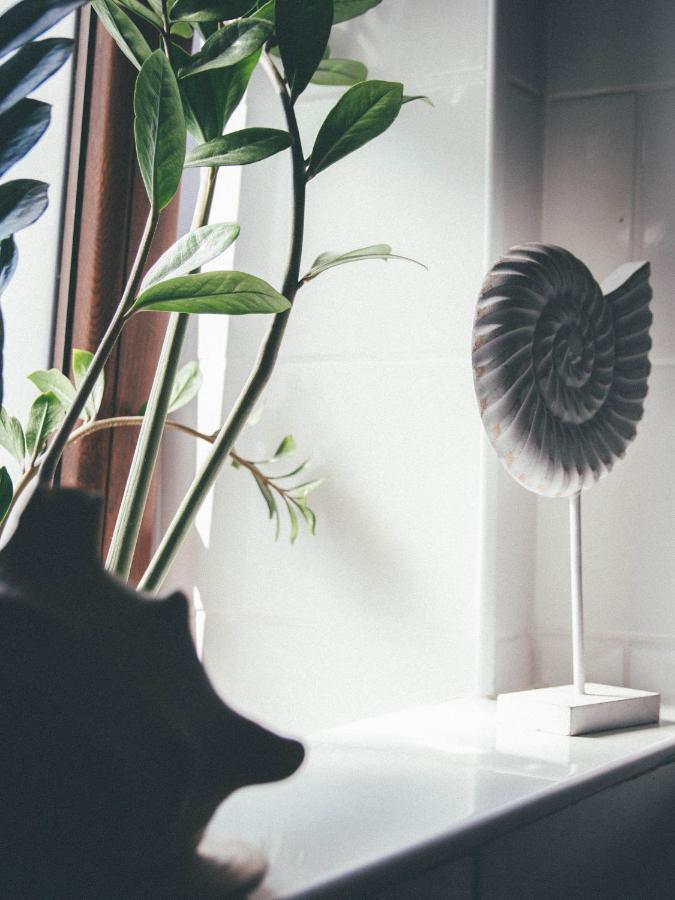 Willa Piwniczka Apartament Jahlowej Piwniczna-Zdroj Extérieur photo