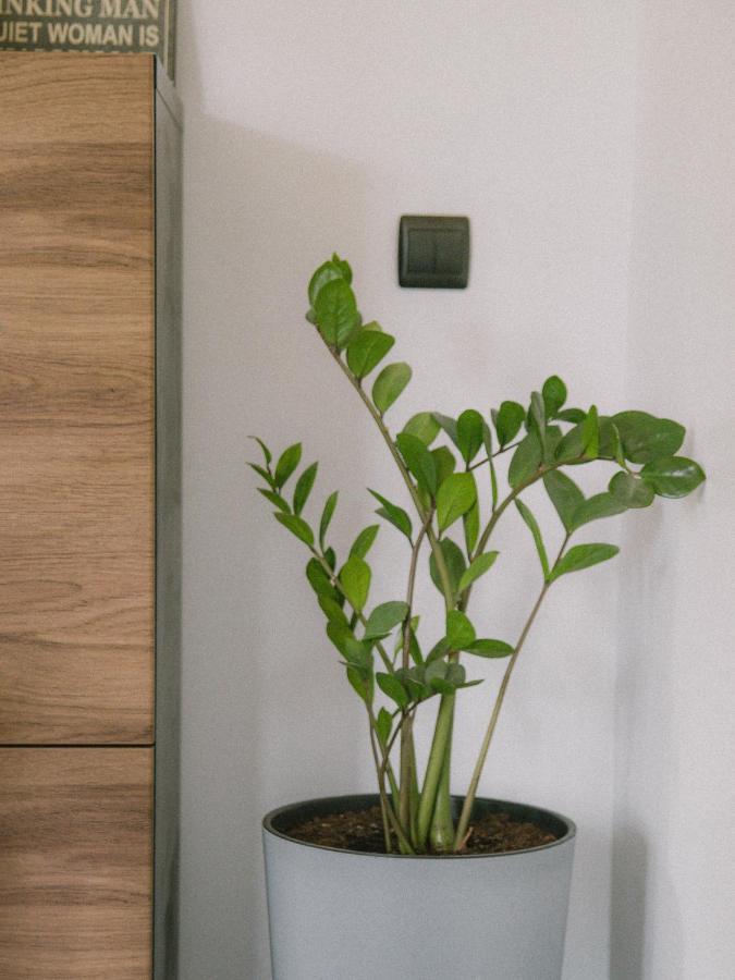 Willa Piwniczka Apartament Jahlowej Piwniczna-Zdroj Extérieur photo